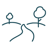 Weg durch Hügel und Bäume – Walk & Talk Trauerbegleitung beim Gehen